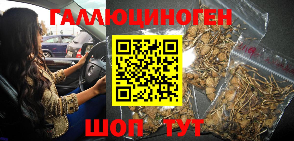 Тулун  Галлюциногенные грибы мухоморы  Вход с VPN 