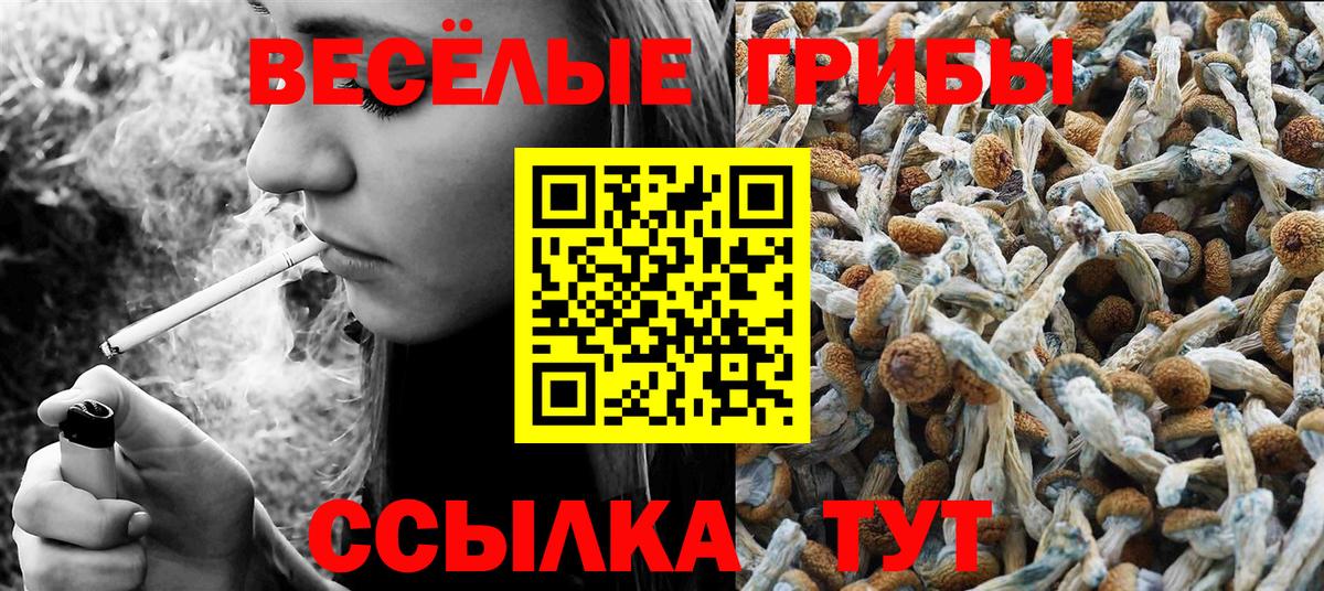 Галлюциногенные грибы ЛСД Тулун